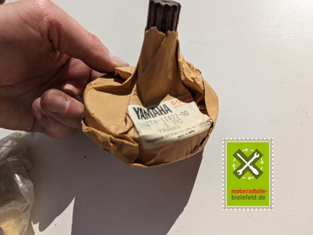 PXL_20240523_152809887